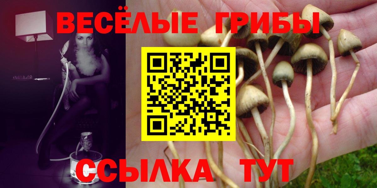 Псилоцибиновые грибы Magic Shrooms Щёлково