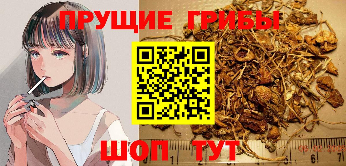 Псилоцибиновые грибы мицелий  Вход с VPN  Щёлково 